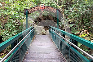 Devil`s bridge at Harzer Hexenstieg in Harz mountains