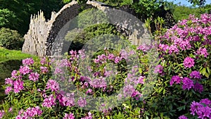 Devil's Bridge Rakotzbrucke in the Rhododendron Palace Landscape Park Kromlau, Lake Rakotz, Saxony, Germany