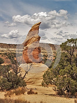 Devil`s Garden Sandstone Formations