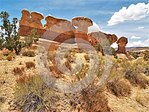 Devil`s Garden Sandstone Formations