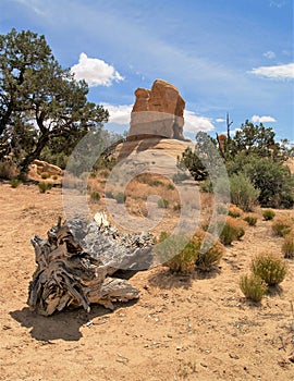 Devil`s Garden Sandstone Formations