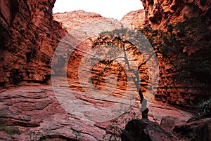 DevilÂ´s Gorge in Argentina.