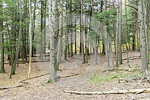 Devil`s Hopyard trail