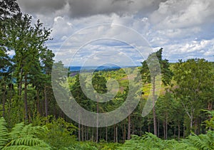 The Devil`s Punchbowl ,Hindhead ,Surrey