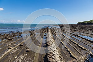 Devil`s Washboard coastline in Aoshima island, Miyazaki photo