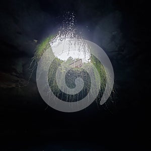 Devil's Den prehistoric spring, Florida