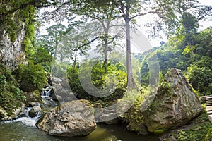 Devils Cave, canopy and forest in Merida State