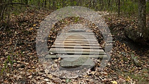 Devils Den State Park, Arkansas, mountain footbridge with autumn leaves