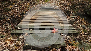 Devils Den State Park, Arkansas, mountain footbridge with autumn leaves