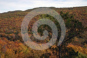 Devils' Den State Park Overlook