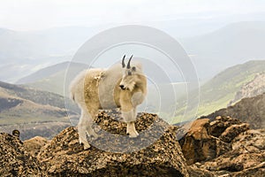 Devils Head Montains