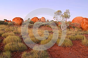 Devils Marbles. Northern Territory Australia.