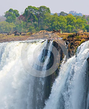 Devils Pool on the edge of Victoria Falls with people bathing