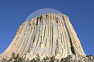 Devils Tower National Monument, Wyoming