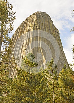 Devils Tower Peeking out from the Pines