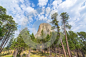 Devils Tower and Pine Trees