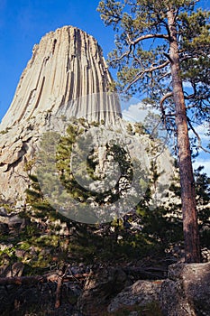 Devils Tower Wyoming From Tower Loop Trail