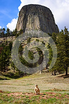 Devils Tower