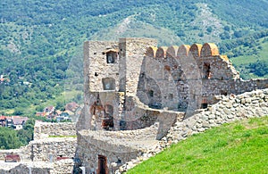 Devin Castle on the background of the hill. Bratislava, Slovakia