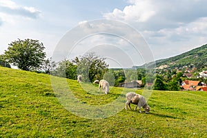 Devin Castle Slovakia 01