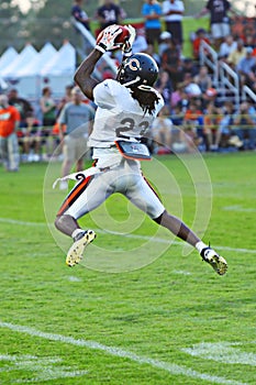 devin hester, chicago bears