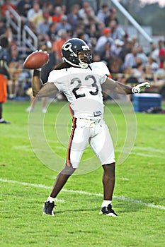 devin hester, chicago bears