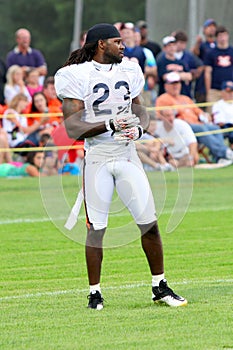 devin hester, chicago bears