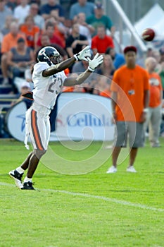 devin hester, chicago bears