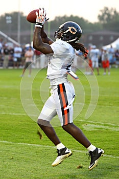 devin hester, chicago bears