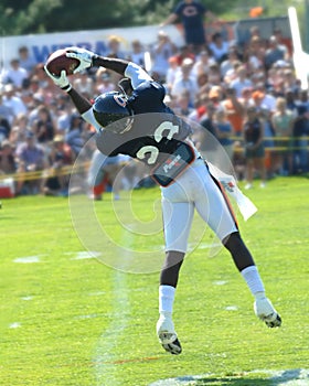 Devin Hester, Chicago Bears