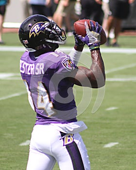 Devin Hester, Sr