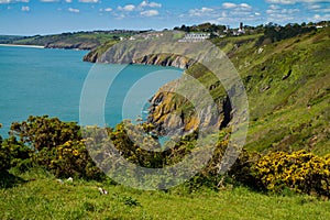 The Devon coastline looking towards Slapton Sands