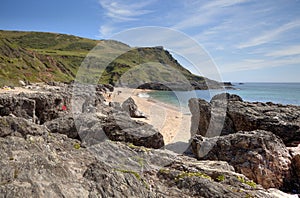 Devon coastline in summer