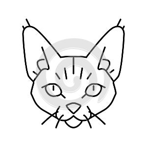 devon rex cat cute pet line icon vector illustration