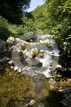 A Devon stream