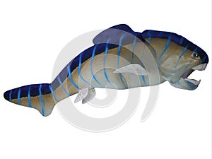 Devonian Dunkleosteus Fish Side Profile photo