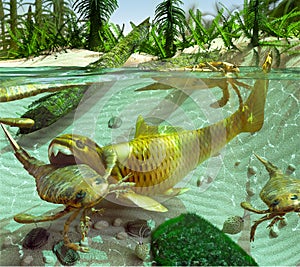 Devonian Lake Cycle Of Life photo