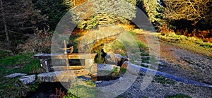 Devonport Leat on Dartmoor National Park Devon near Burrator Devon