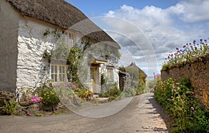 Devonshire cottage photo