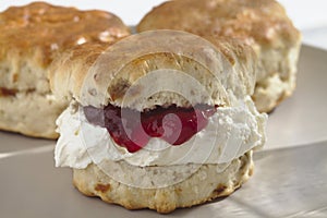 Devonshire Scone with Cream and Jam