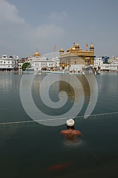 A devotee in nectar pool of Golden Temple