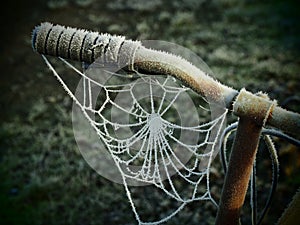 Dew covered spider web on an old bicycles handlebars