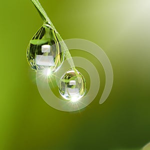 Dew drops with Light Fair