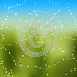 Dew drops on the web with nature background. Vector illustration