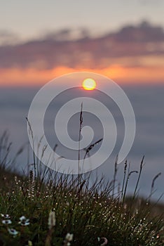 Drops of dew on the grass glows at sunset