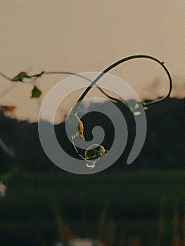 aesthetik background