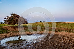 A Dew Pond on Ditchling Beacon