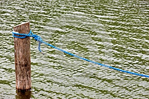 Dew on a wooden pole