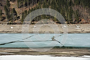 Almost dewatered KlÃÂ¶ntalersee lake covered with cracked ice