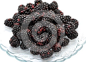 Dewberry on a white background photo